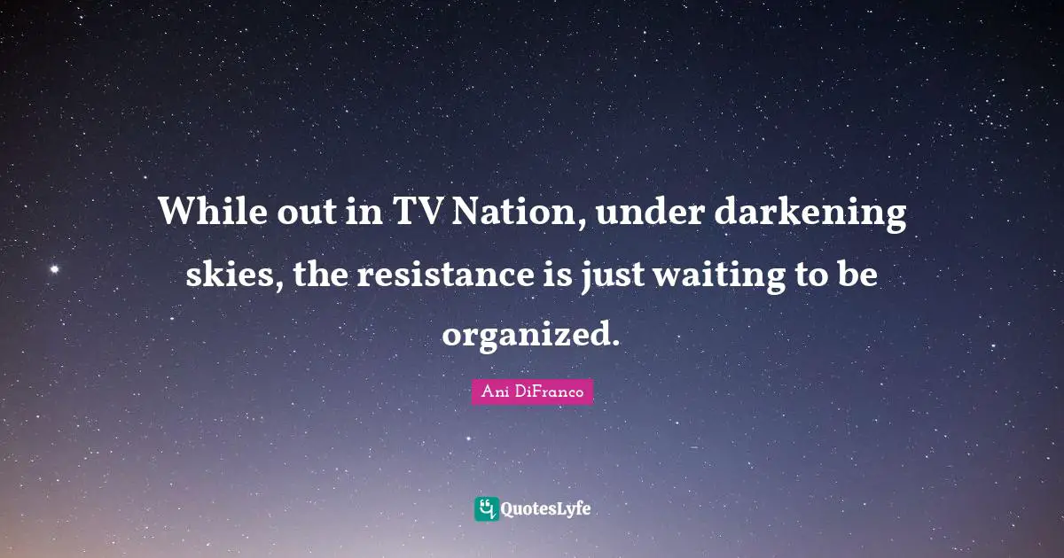 While out in TV Nation, under darkening skies, the resistance is just waiting to be organized.