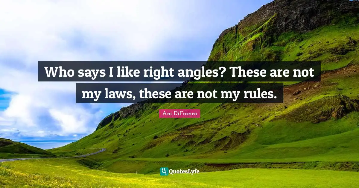 Who says I like right angles? These are not my laws, these are not my rules.