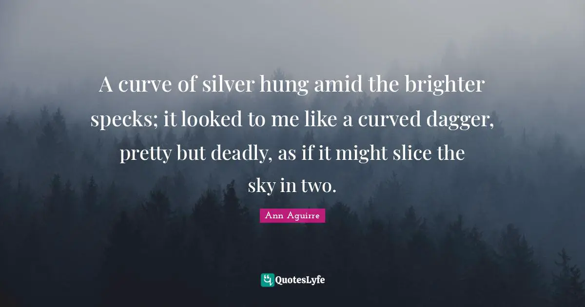 A curve of silver hung amid the brighter specks; it looked to me like a curved dagger, pretty but deadly, as if it might slice the sky in two.