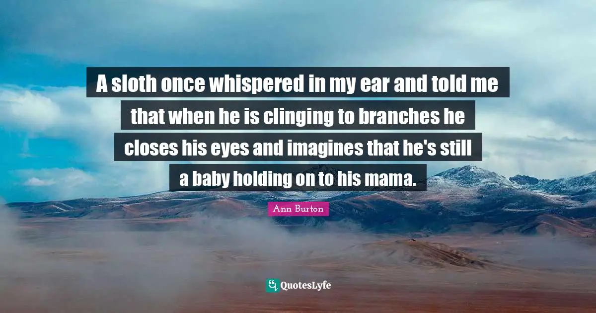 A sloth once whispered in my ear and told me that when he is clinging to branches he closes his eyes and imagines that he's still a baby holding on to his mama.