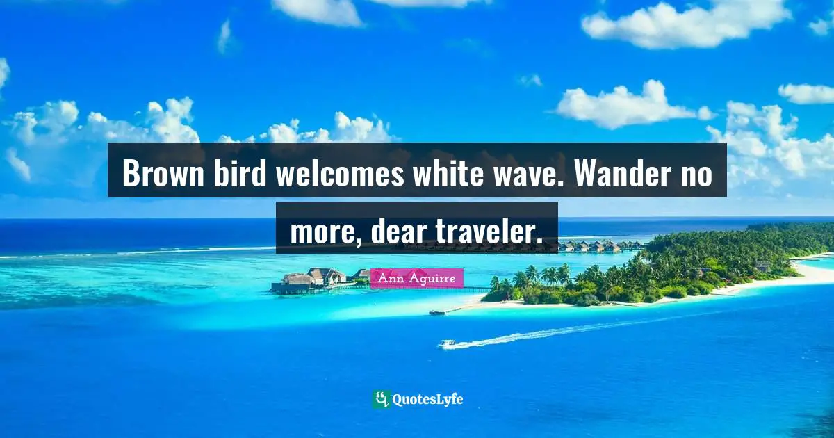 Brown bird welcomes white wave. Wander no more, dear traveler.