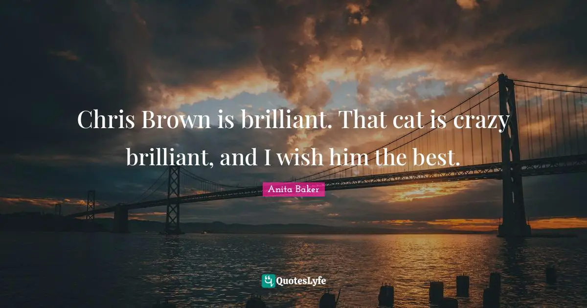 Chris Brown is brilliant. That cat is crazy brilliant, and I wish him the best.