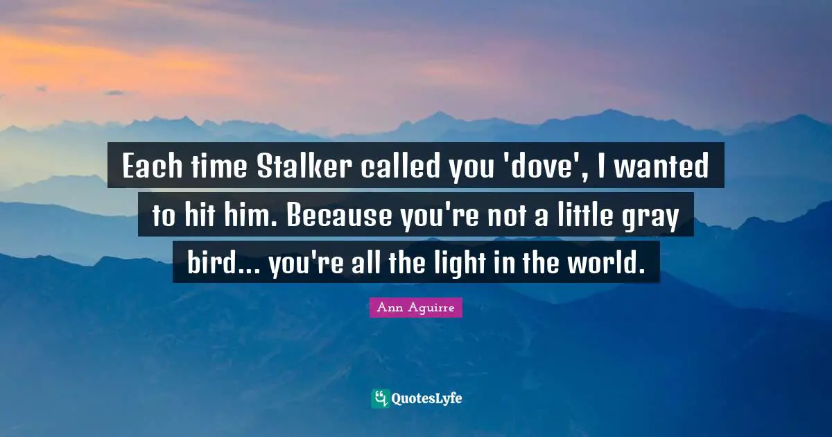 Each time Stalker called you 'dove', I wanted to hit him. Because you're not a little gray bird... you're all the light in the world.