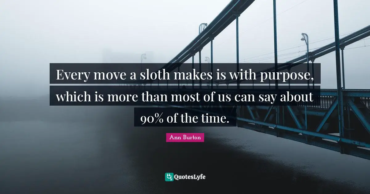 Every move a sloth makes is with purpose, which is more than most of us can say about 90% of the time.