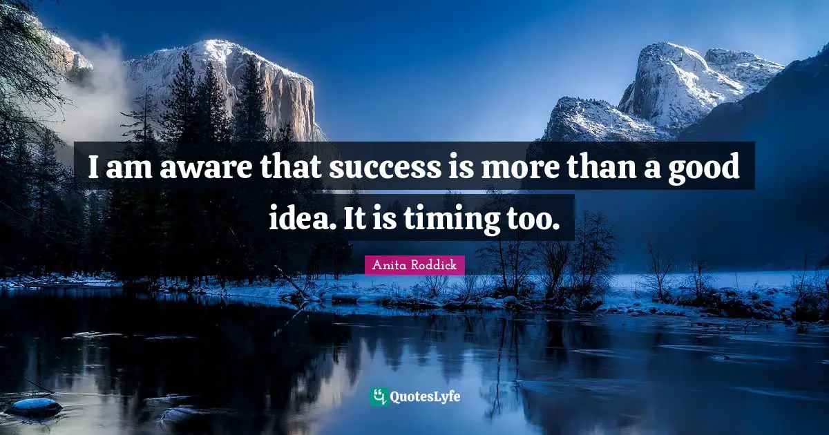 I am aware that success is more than a good idea. It is timing too.