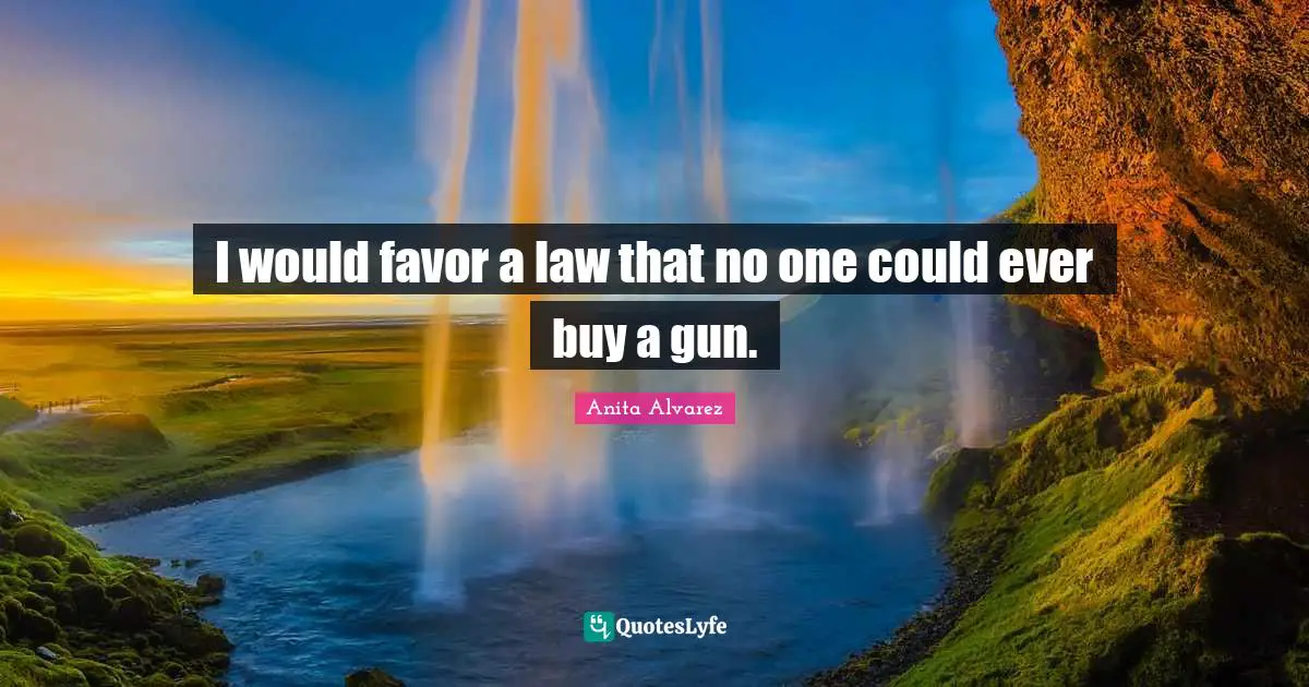 I would favor a law that no one could ever buy a gun.