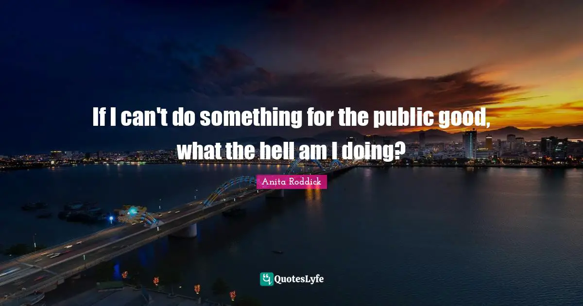 If I can't do something for the public good, what the hell am I doing?