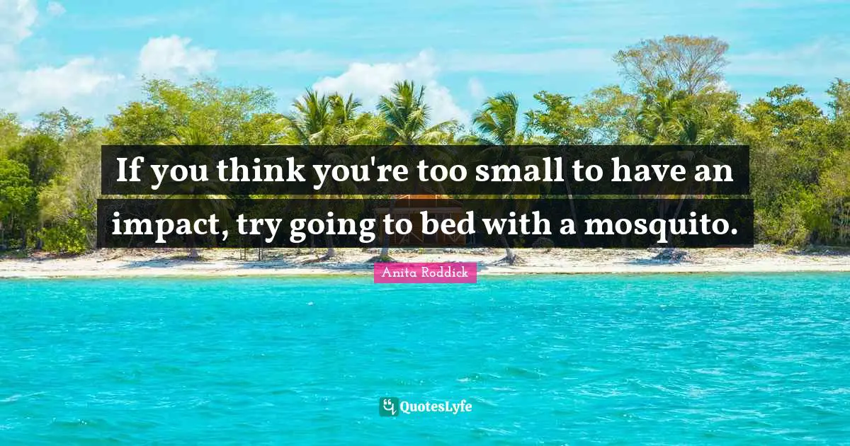 Graduation Quotes: "If you think you're too small to have an impact, try going to bed with a mosquito."