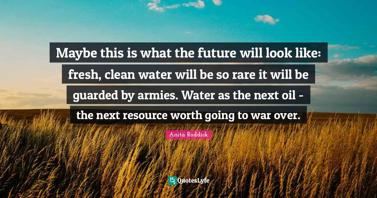 Maybe this is what the future will look like: fresh, clean water will be so rare it will be guarded by armies. Water as the next oil - the next resource worth going to war over.