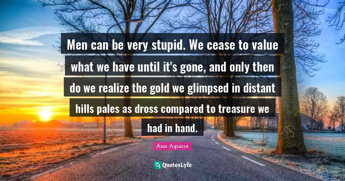 Very Stupid Quotes: "Men can be very stupid. We cease to value what we have until it's gone, and only then do we realize the gold we glimpsed in distant hills pales as dross compared to treasure we had in hand."