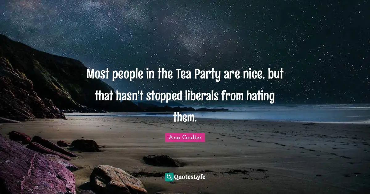 Most people in the Tea Party are nice, but that hasn't stopped liberals from hating them.