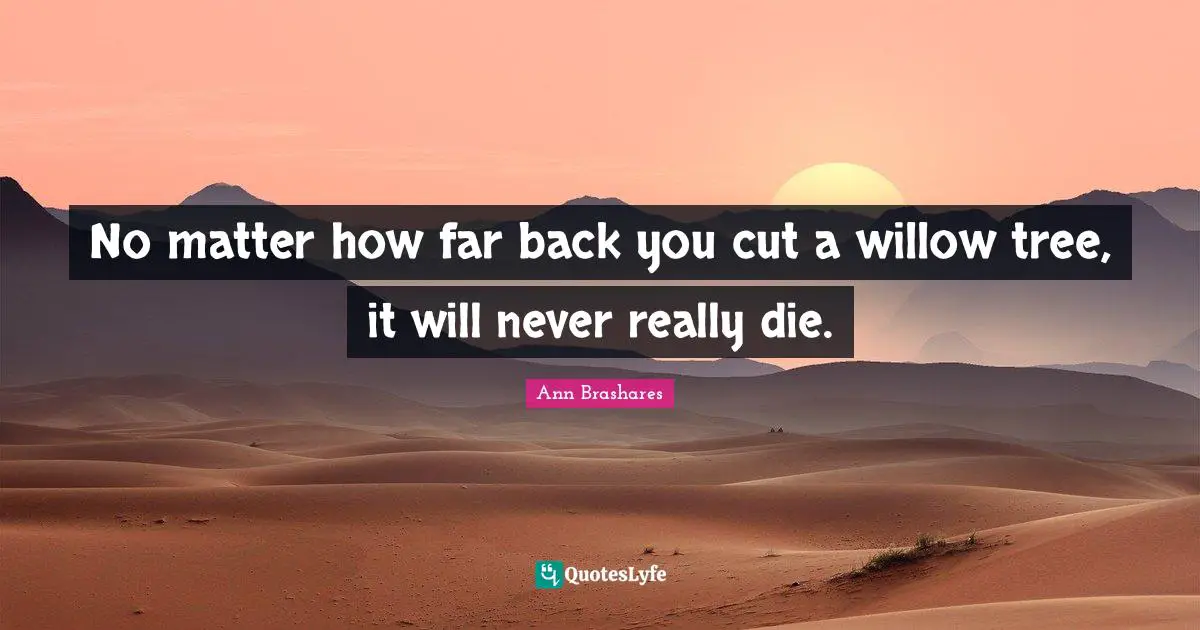 No matter how far back you cut a willow tree, it will never really die.