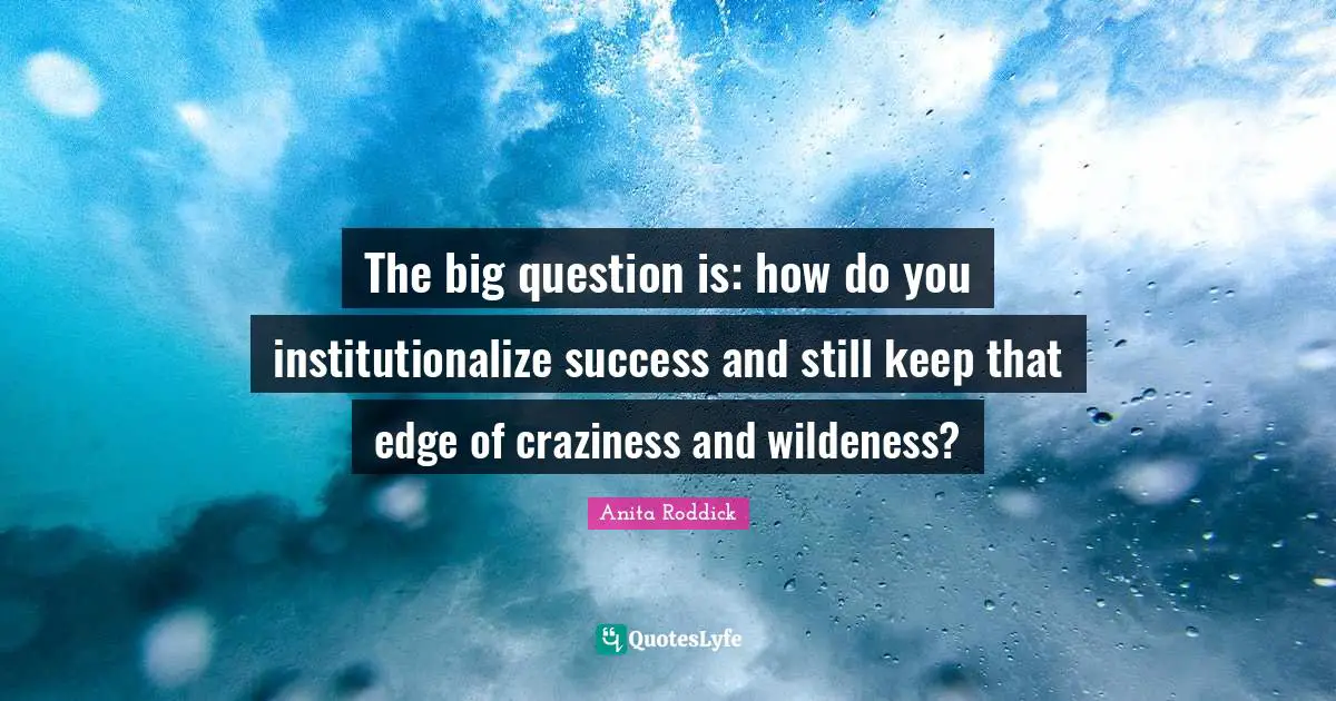 Craziness Quotes: "The big question is: how do you institutionalize success and still keep that edge of craziness and wildeness?"