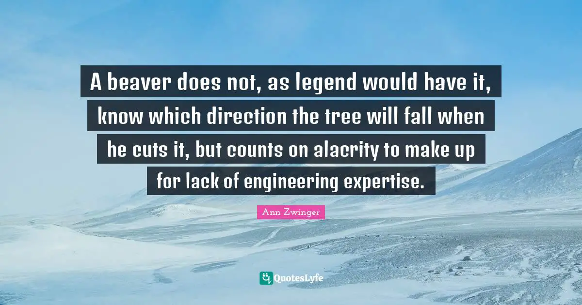 A beaver does not, as legend would have it, know which direction the tree will fall when he cuts it, but counts on alacrity to make up for lack of engineering expertise.