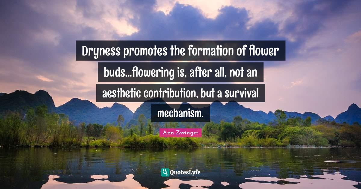 Dryness promotes the formation of flower buds...flowering is, after al