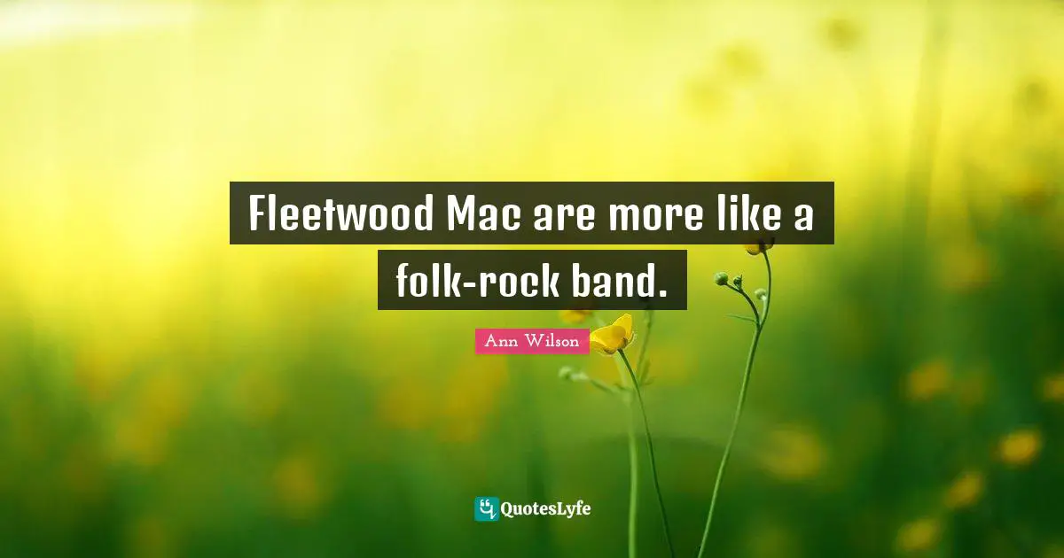 Fleetwood Mac are more like a folk-rock band.