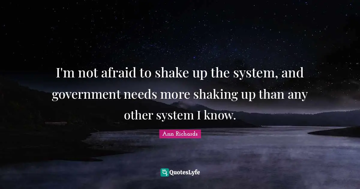 I'm not afraid to shake up the system, and government needs more shaking up than any other system I know.