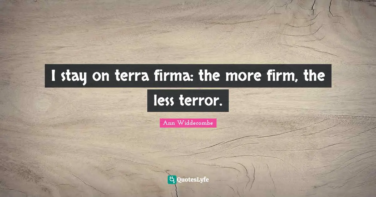 I stay on terra firma: the more firm, the less terror.