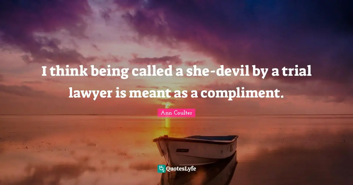 I think being called a she-devil by a trial lawyer is meant as a compliment.