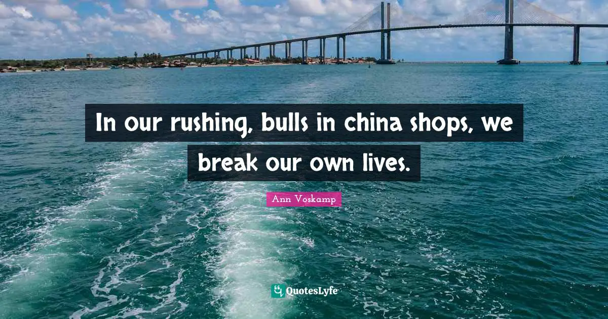 In our rushing, bulls in china shops, we break our own lives.