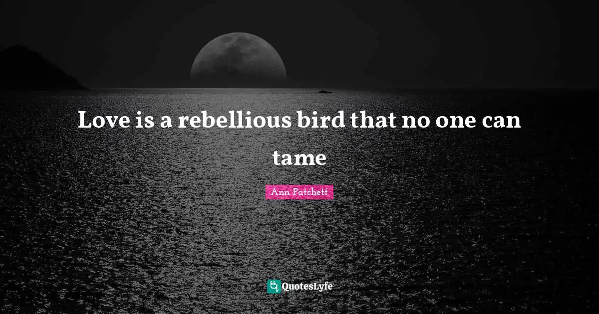 Love is a rebellious bird that no one can tame