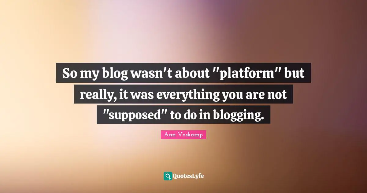 So my blog wasn't about "platform" but really, it was everything you are not "supposed" to do in blogging.