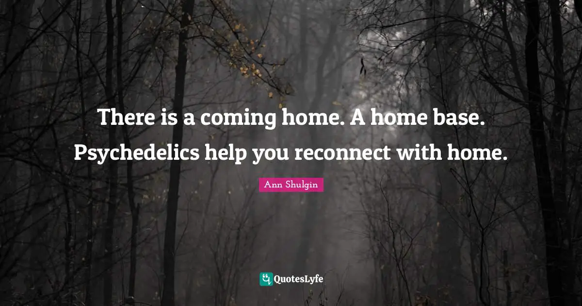 There is a coming home. A home base. Psychedelics help you reconnect with home.