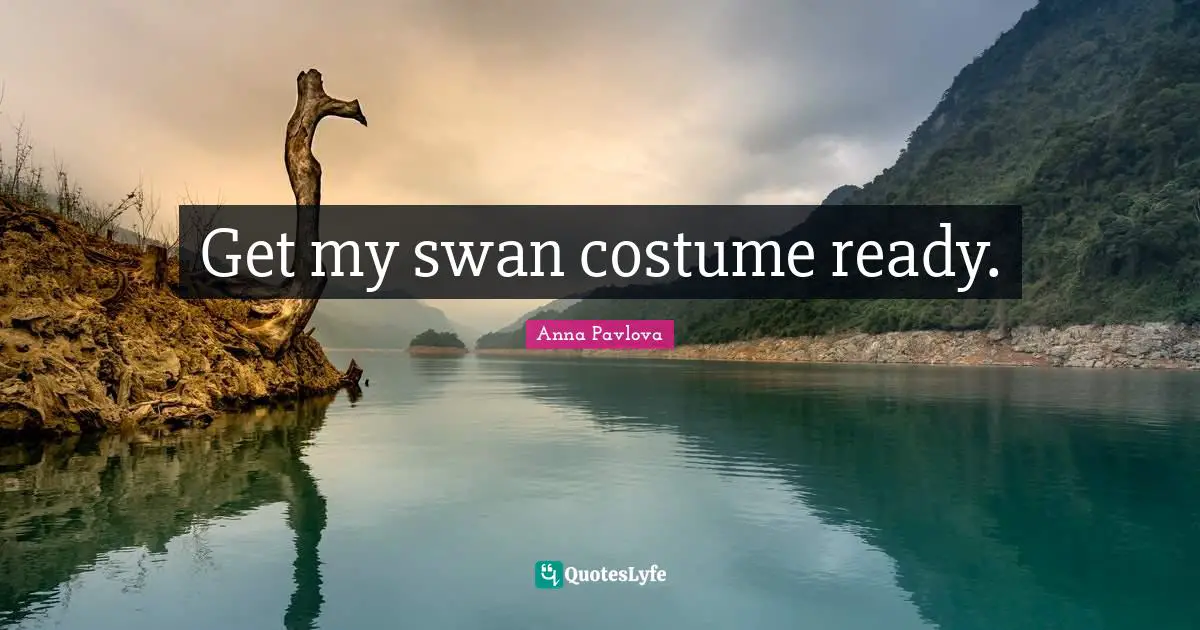 Swans Quotes: "Get my swan costume ready."