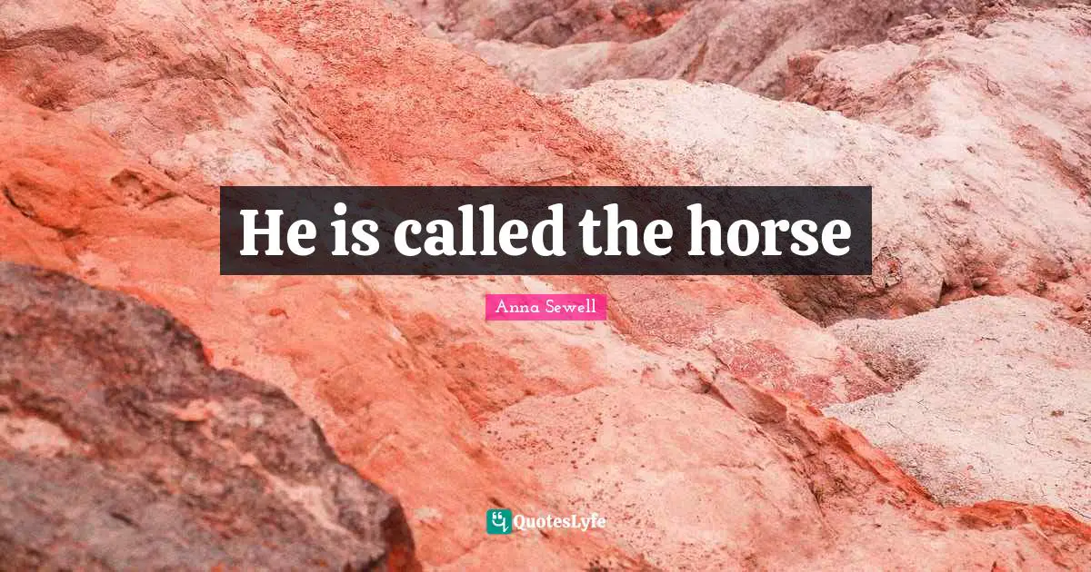He is called the horse