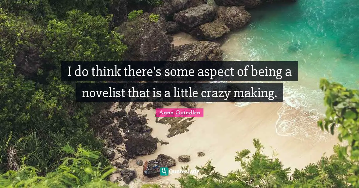 I do think there's some aspect of being a novelist that is a little crazy making.