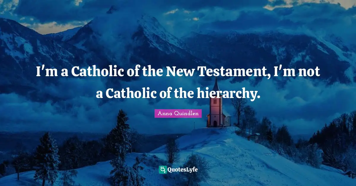 I'm a Catholic of the New Testament, I'm not a Catholic of the hierarchy.