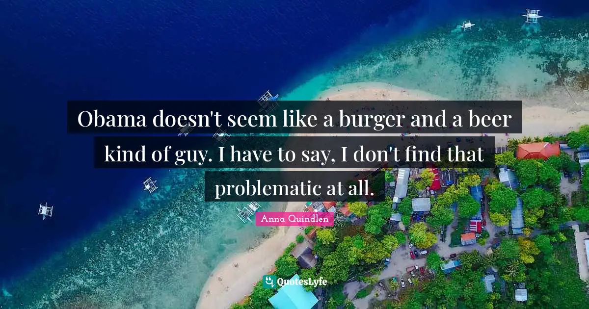 Obama doesn't seem like a burger and a beer kind of guy. I have to say, I don't find that problematic at all.