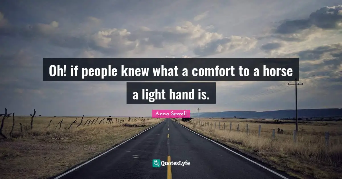Oh! if people knew what a comfort to a horse a light hand is.
