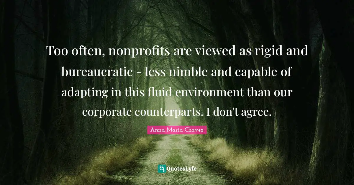 Anna Maria Chavez Quotes: "Too often, nonprofits are viewed as rigid and bureaucratic - less nimble and capable of adapting in this fluid environment than our corporate counterparts. I don't agree."