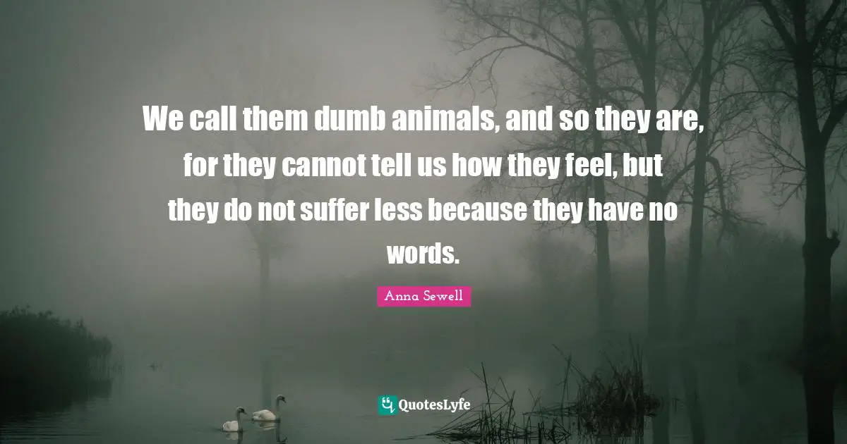 Pet Quotes: "We call them dumb animals, and so they are, for they cannot tell us how they feel, but they do not suffer less because they have no words."