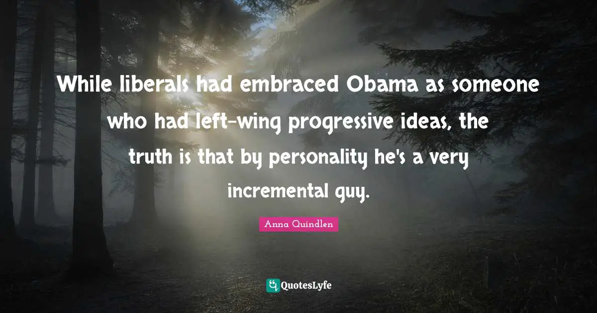 While liberals had embraced Obama as someone who had left-wing progressive ideas, the truth is that by personality he's a very incremental guy.