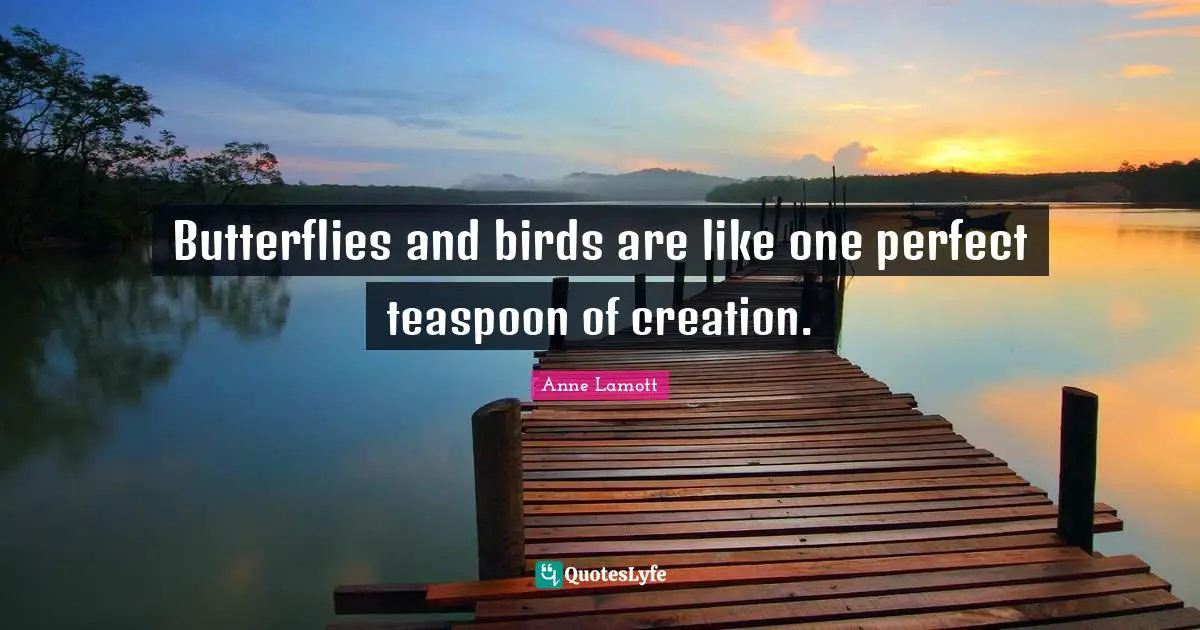 Butterflies and birds are like one perfect teaspoon of creation.