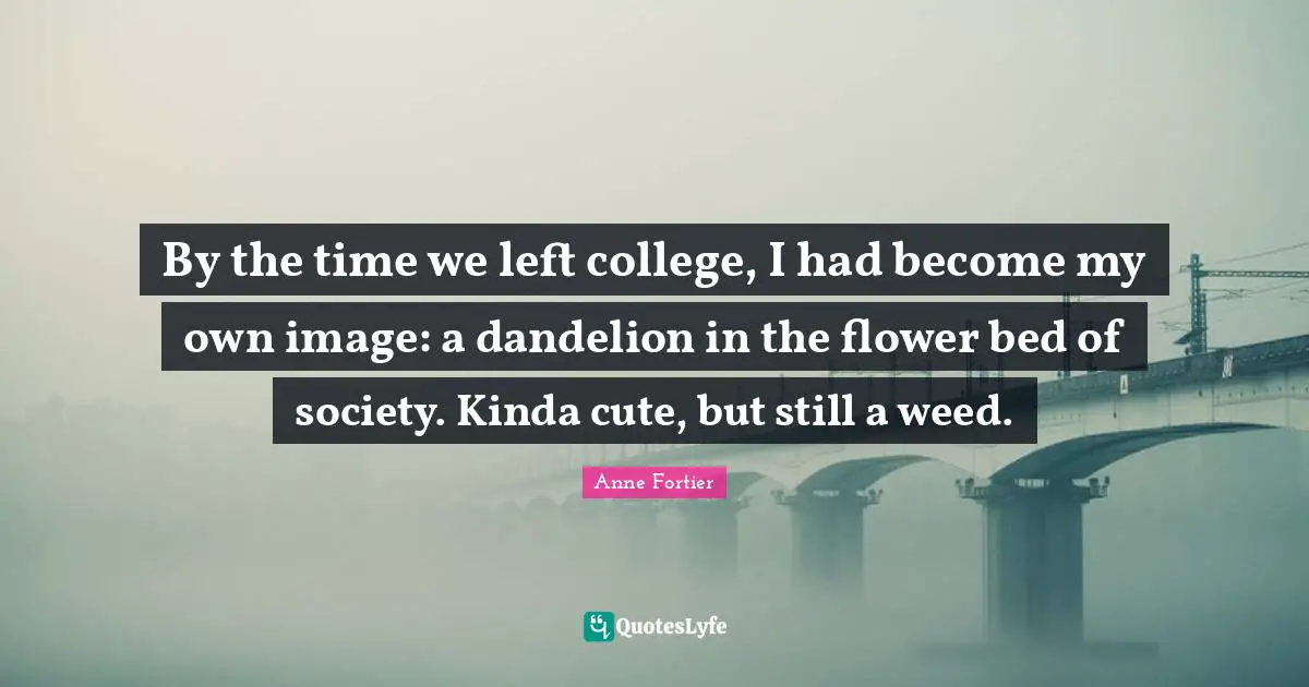 By the time we left college, I had become my own image: a dandelion in the flower bed of society. Kinda cute, but still a weed.