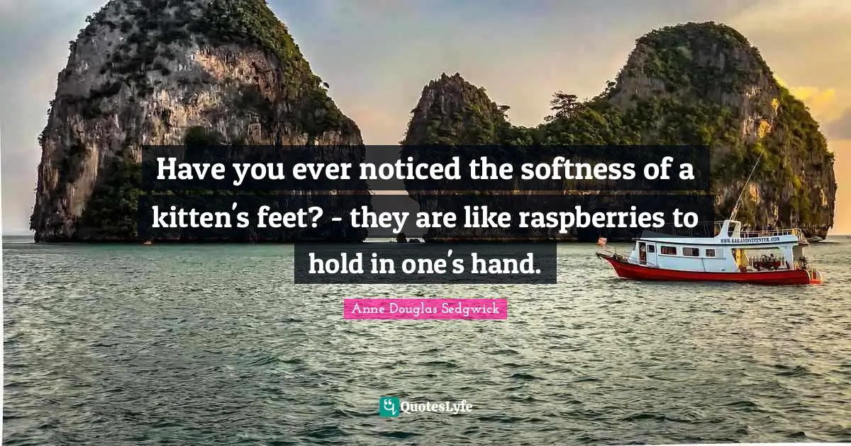 Softness Quotes: "Have you ever noticed the softness of a kitten's feet? - they are like raspberries to hold in one's hand."