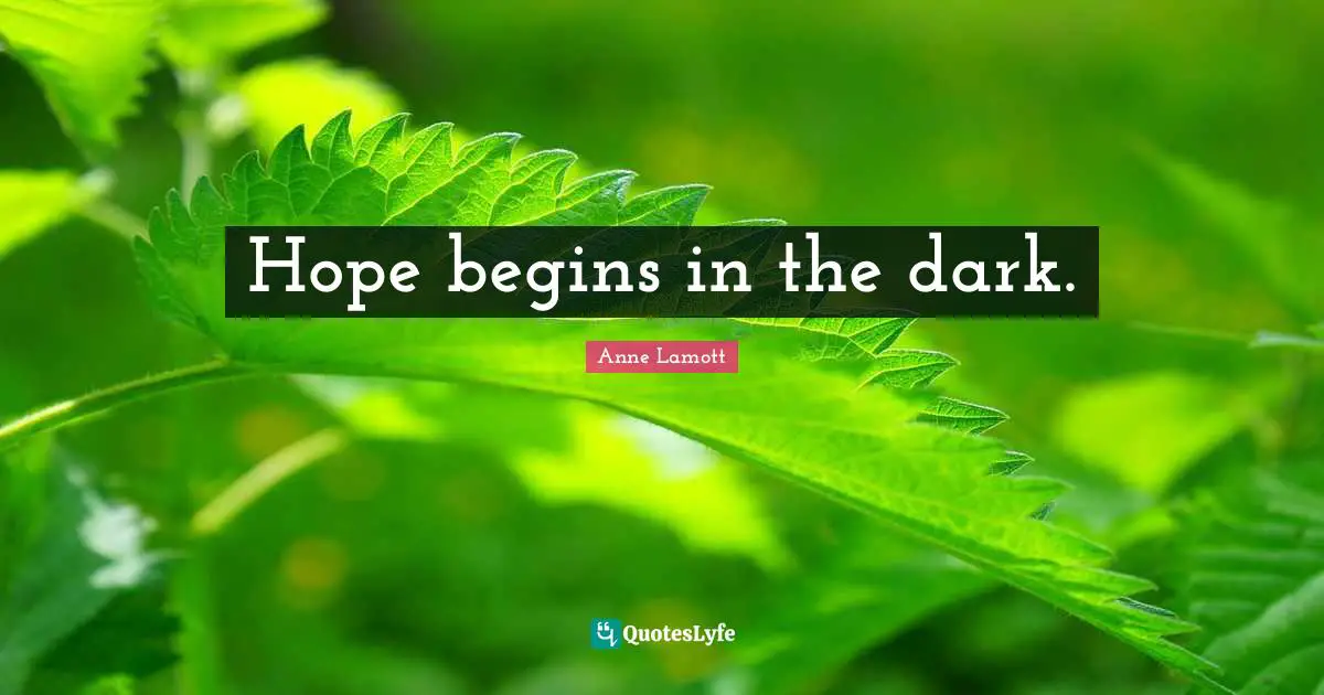 Anne Lamott Quotes: "Hope begins in the dark."