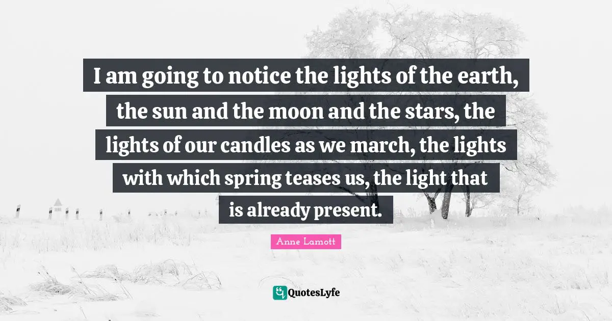 I am going to notice the lights of the earth, the sun and the moon and the stars, the lights of our candles as we march, the lights with which spring teases us, the light that is already present.