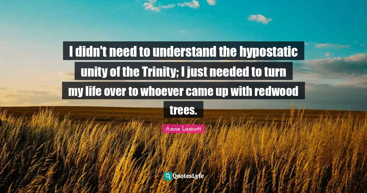 Anne Lamott Quotes: "I didn't need to understand the hypostatic unity of the Trinity; I just needed to turn my life over to whoever came up with redwood trees."