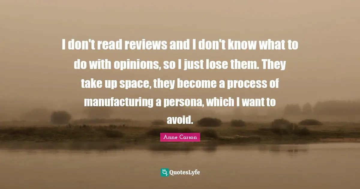 I don't read reviews and I don't know what to do with opinions, so I just lose them. They take up space, they become a process of manufacturing a persona, which I want to avoid.