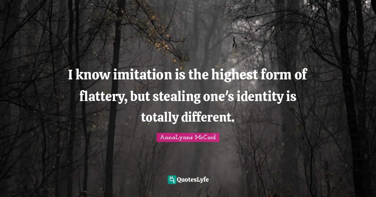 I know imitation is the highest form of flattery, but stealing one's identity is totally different.
