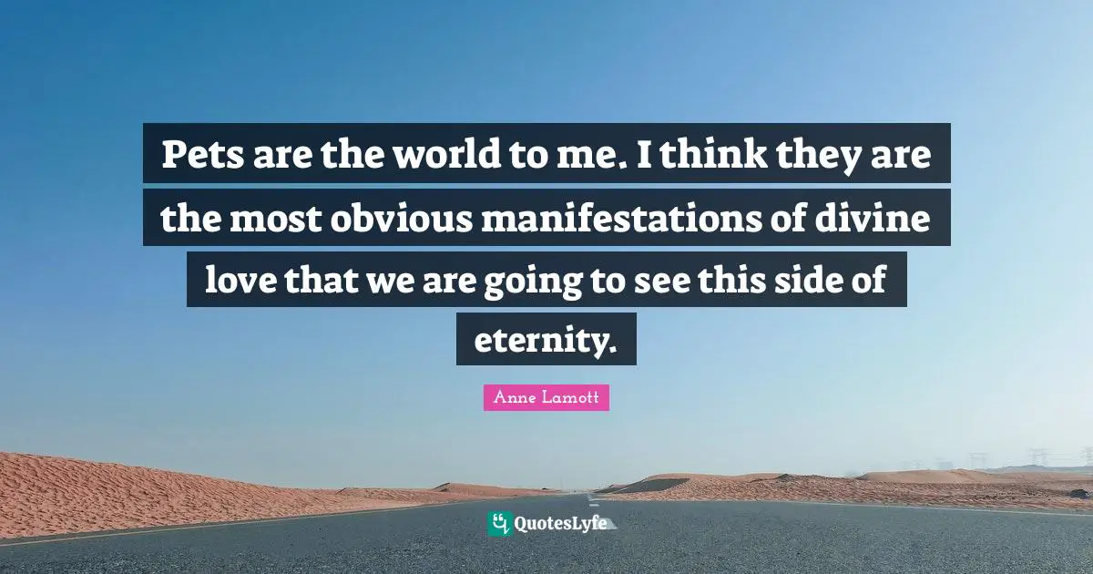 Pets are the world to me. I think they are the most obvious manifestations of divine love that we are going to see this side of eternity.
