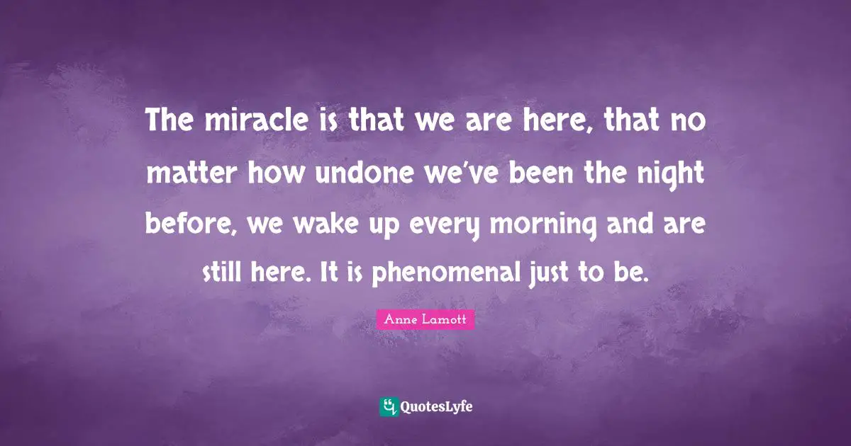 Anne Lamott Quotes: "The miracle is that we are here, that no matter how undone we’ve been the night before, we wake up every morning and are still here. It is phenomenal just to be."