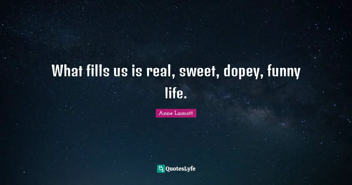 Anne Lamott Quotes: "What fills us is real, sweet, dopey, funny life."