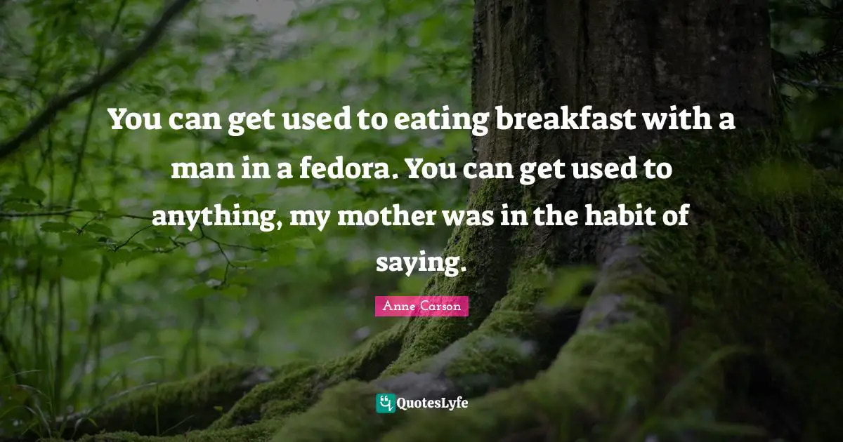 You can get used to eating breakfast with a man in a fedora. You can get used to anything, my mother was in the habit of saying.