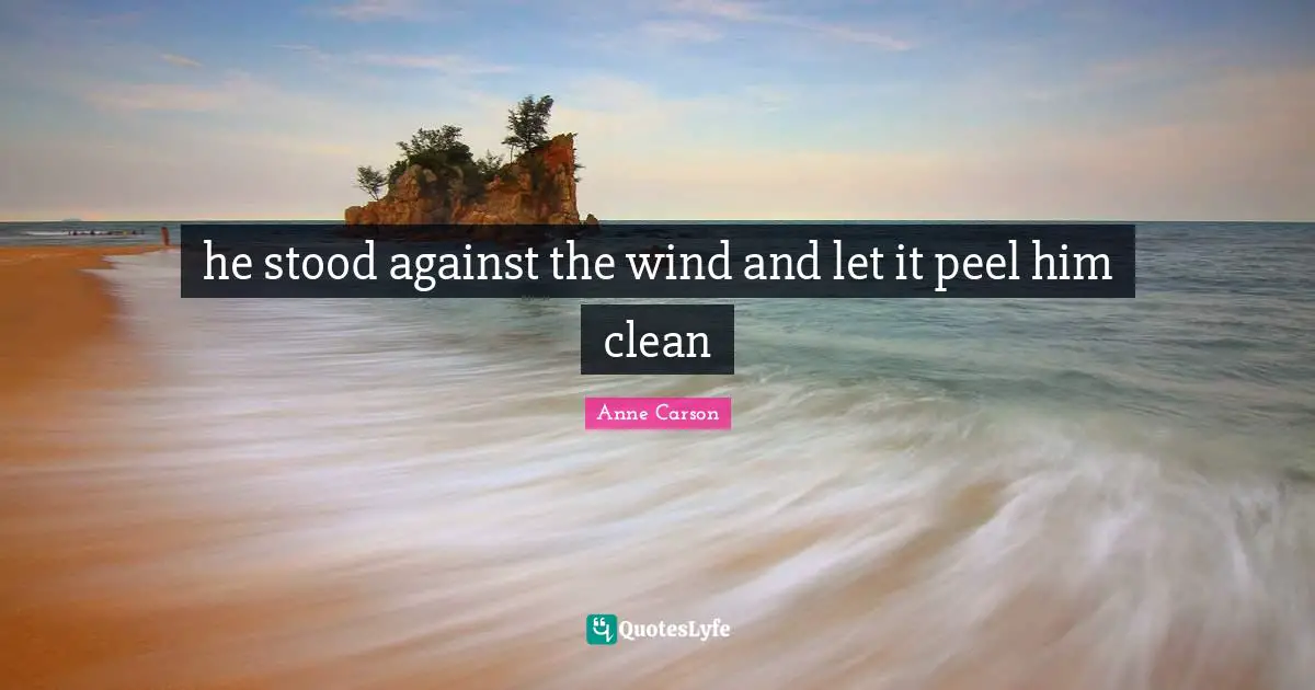 he stood against the wind and let it peel him clean