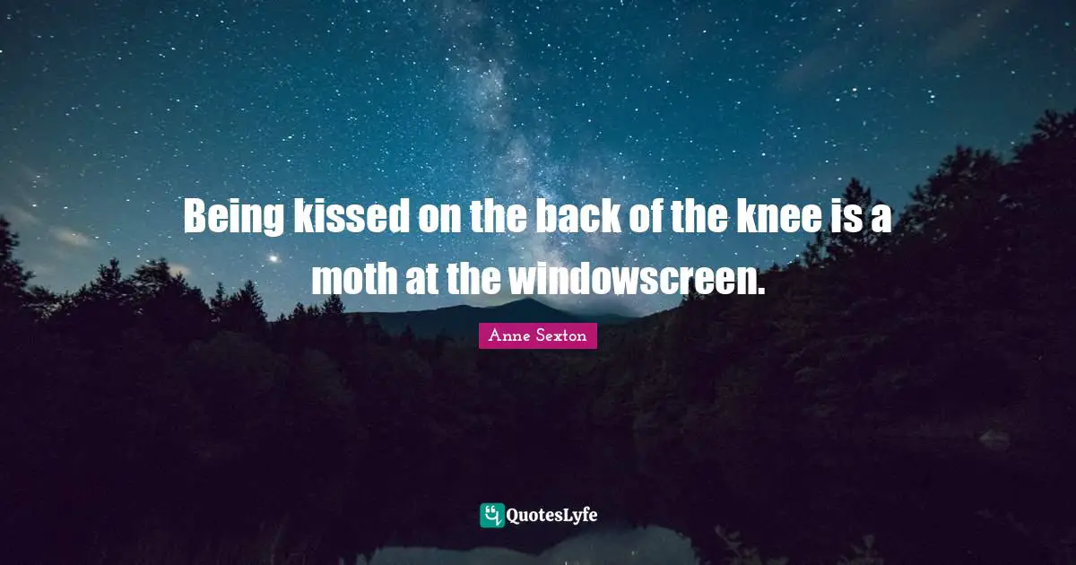 Being kissed on the back of the knee is a moth at the windowscreen.